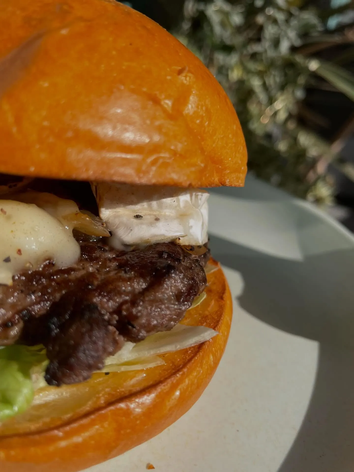 🤍White Day Limited🤍